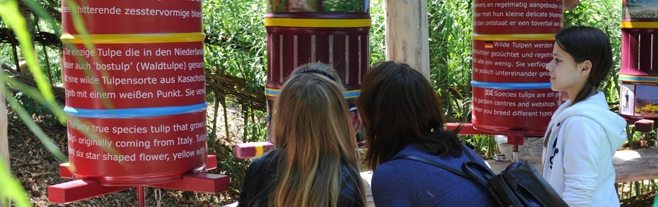 Welkom bij Fluwel's Tulpenland