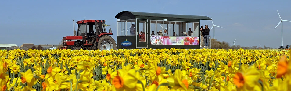De bloembollenboemel was weer een groot succes!